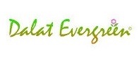 Đà Lạt Everfreen
