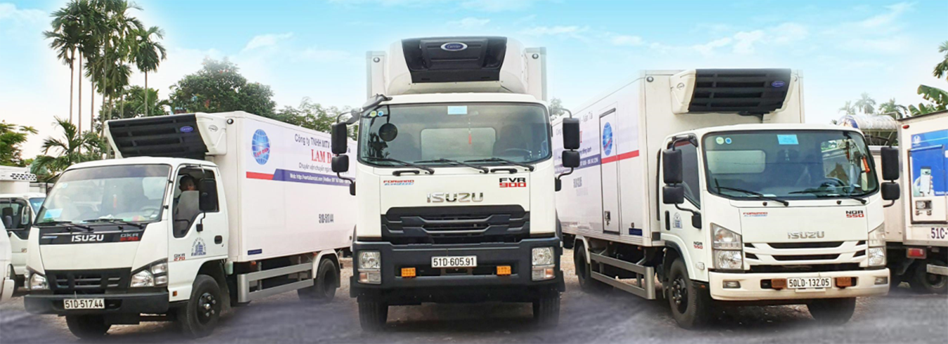 Dịch vụ vận tải chuyên nghiệp