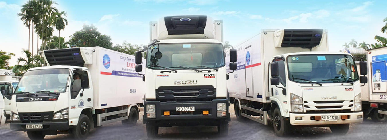Dịch vụ vận tải chuyên nghiệp